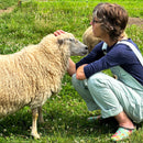 JEWEL TONE: Autumn 2024 Limited Edition Small Batch Yarn-3