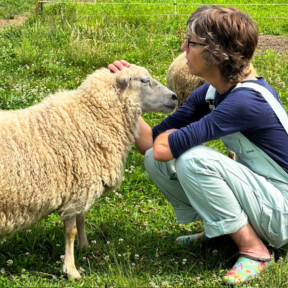 JEWEL TONE: Autumn 2024 Limited Edition Small Batch Yarn