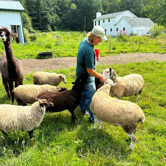 JEWEL TONE: Autumn 2024 Limited Edition Small Batch Yarn