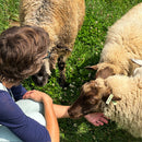 JEWEL TONE: Autumn 2024 Limited Edition Small Batch Yarn-5