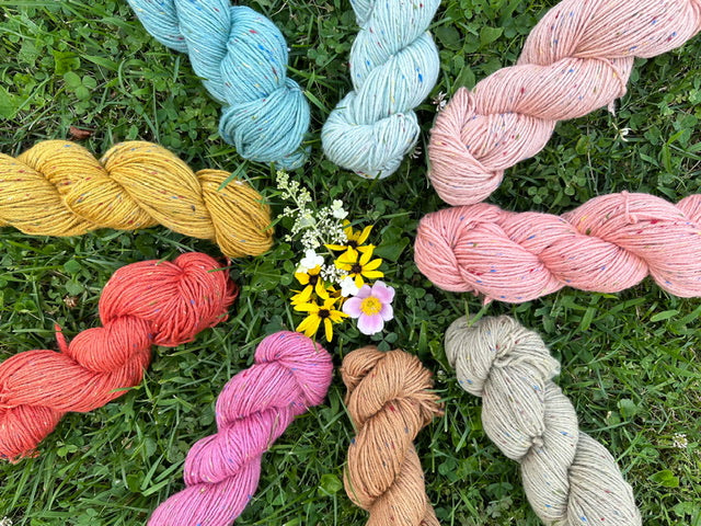 Img 1761 6ac03799 6d7a 4f7e 8712 9a3e4804578a