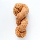 Norway Spruce dark peach*