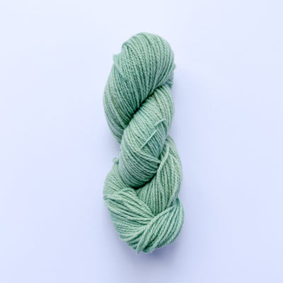 Targhee Polypay DK
