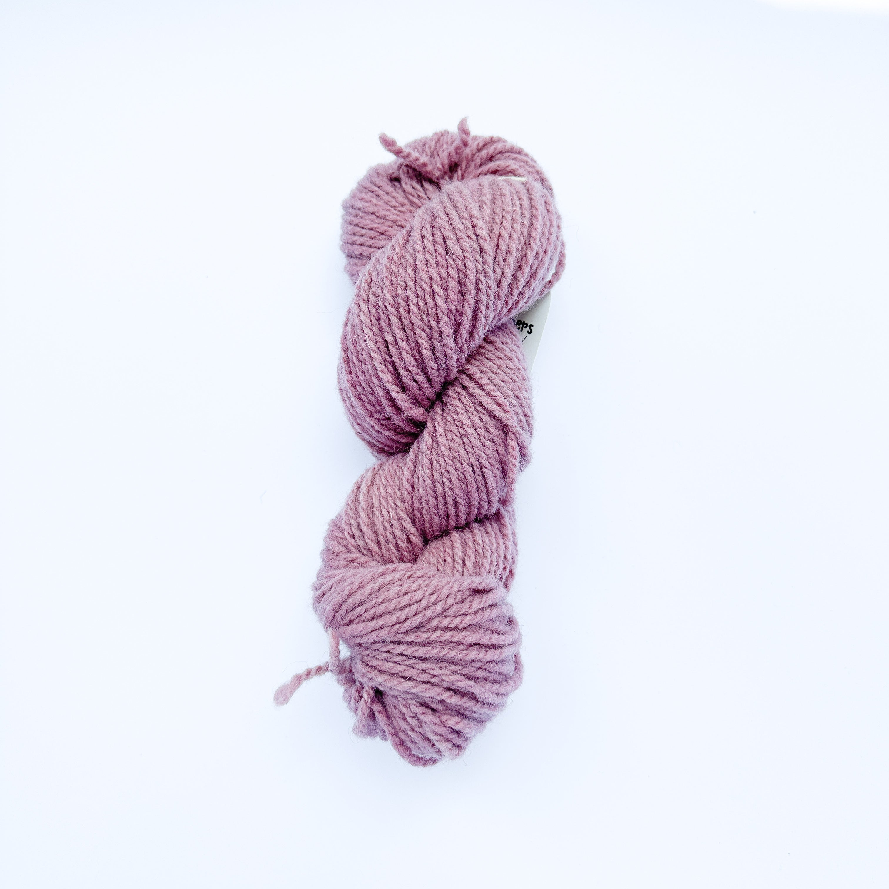 Buy raspberry Kelly&#39;s Tunis