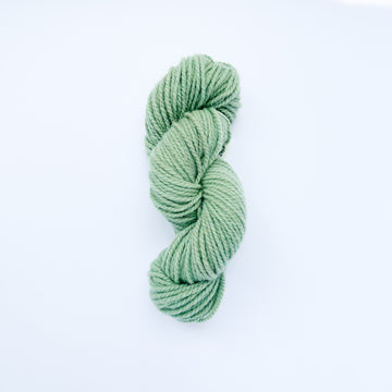 Buy aqua Kelly&#39;s Tunis