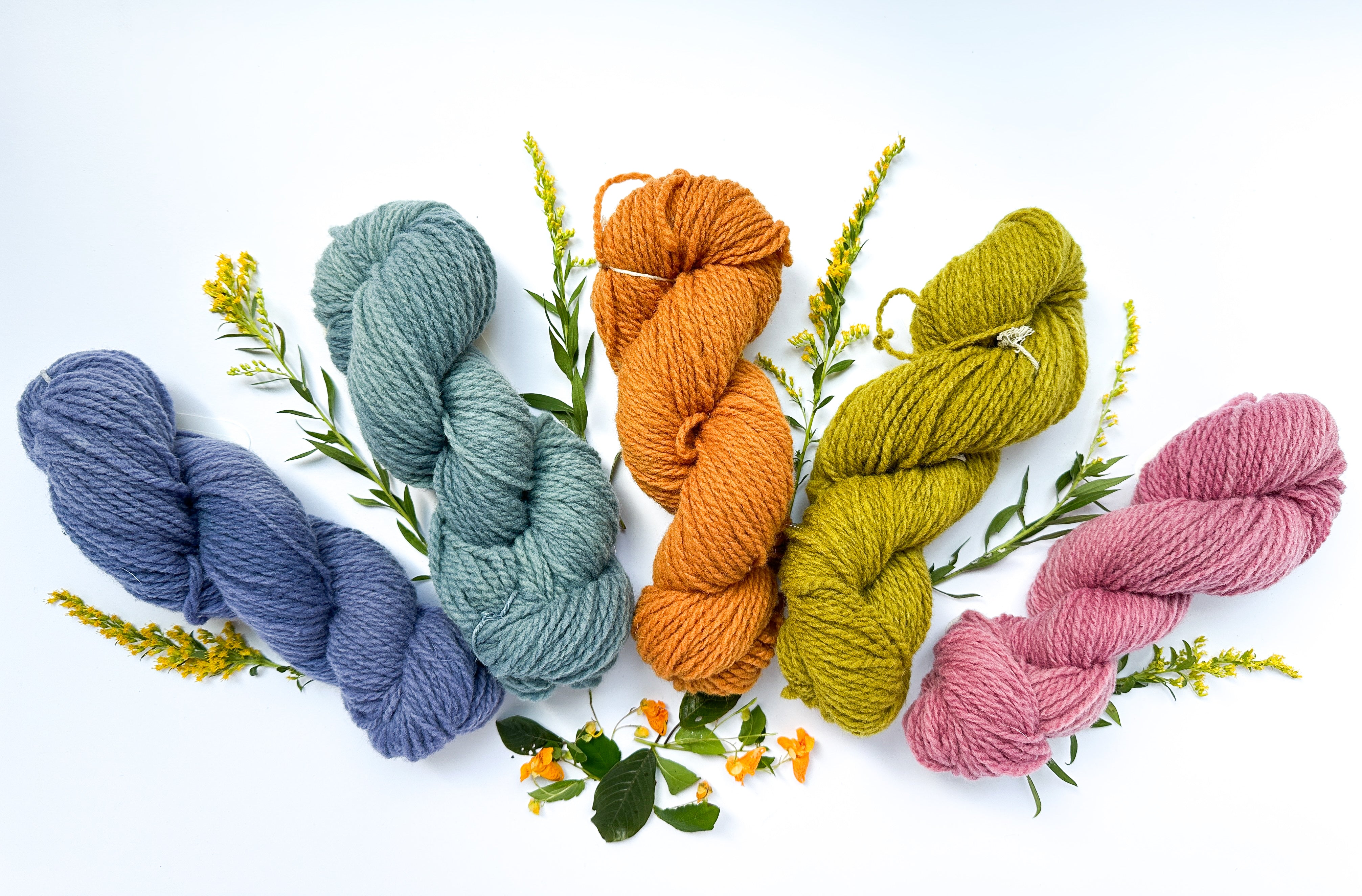 Img 6738 17f615bc 4885 4d8e b926 4ef673f4f8b3