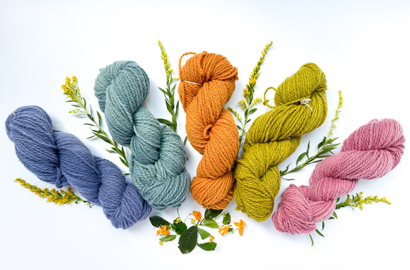 Img 6738 5e533ec3 5b5f 450d b50e 78f6f9f7a3f0