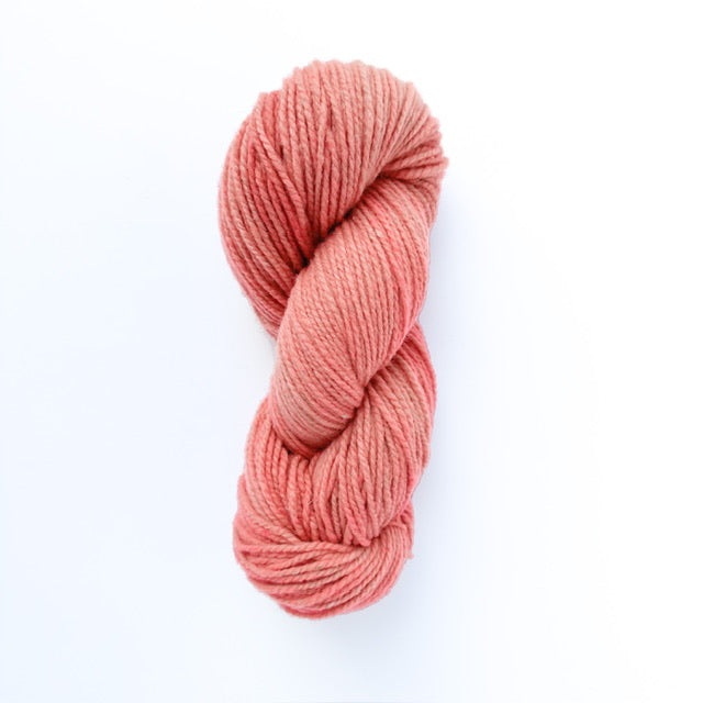 Targhee Polypay DK - 0