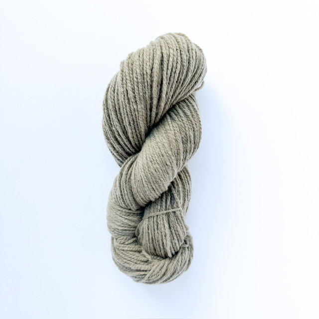 Targhee Polypay DK